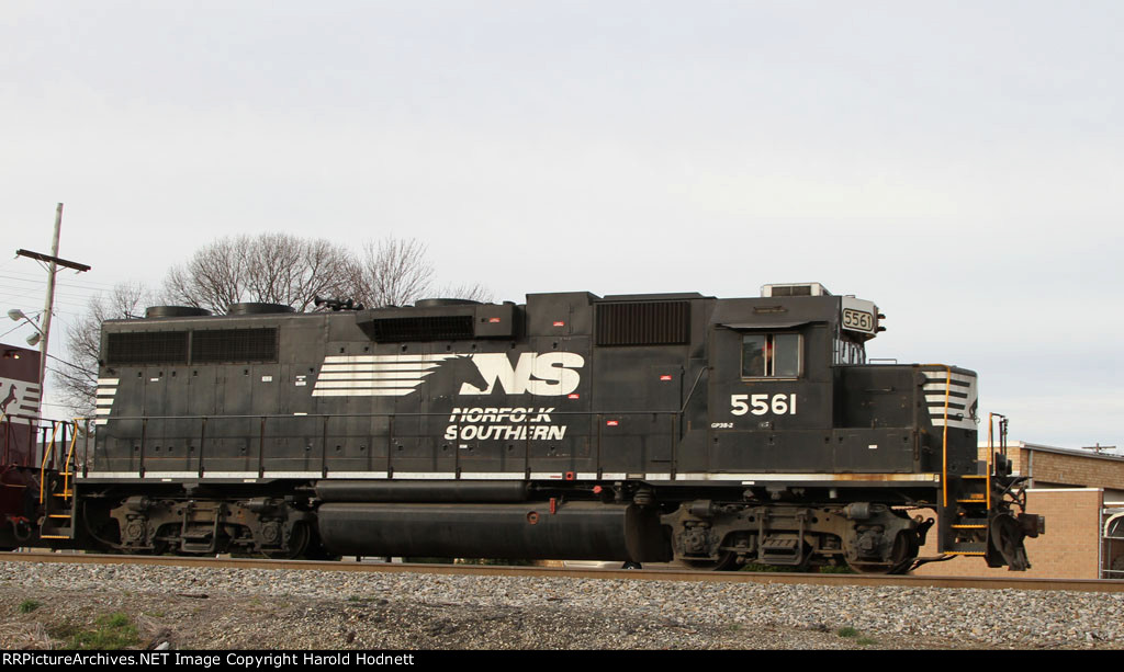 NS 5561